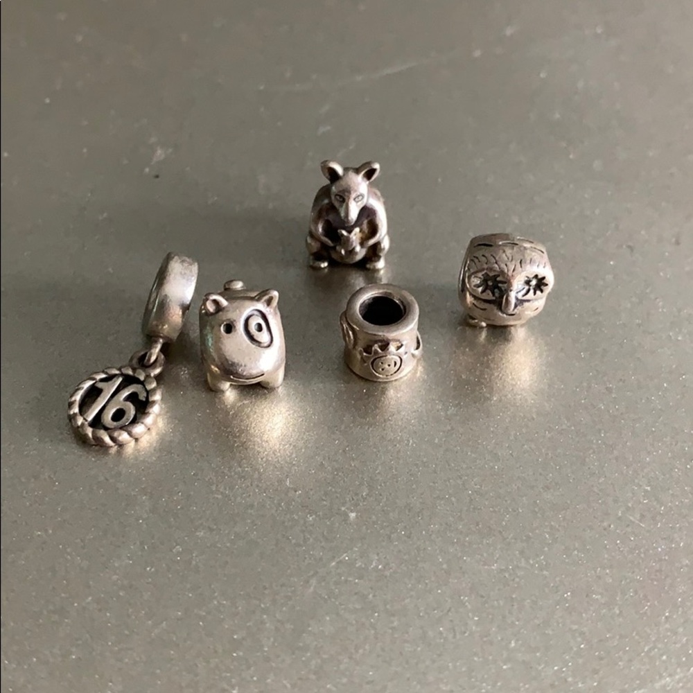 Pandora charms
